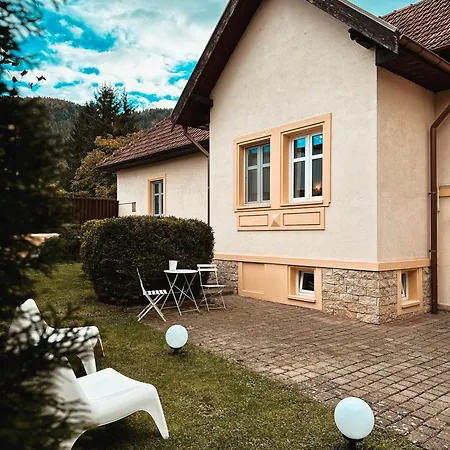 Wonderfull Cozy Villa - Old Town Center Brasov-2